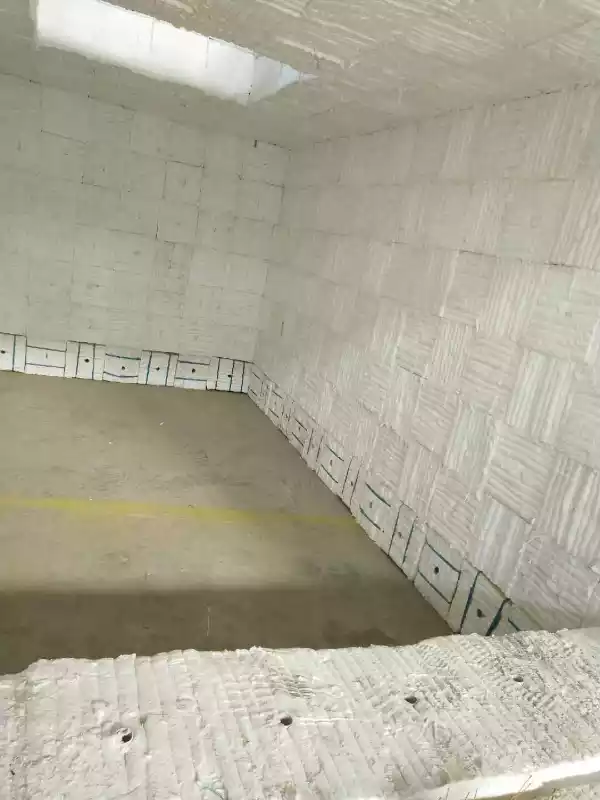 ceramic fiber module